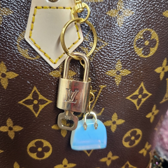 Loius Vuitton Alma Bag - Picture 10 of 16